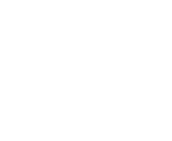 Eagle Automotive